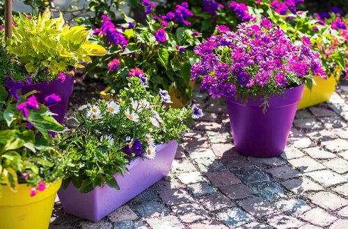 Inspirerende ideeën voor uw tuin met kleurrijke plantenpotten