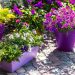 Inspirerende ideeën voor uw tuin met kleurrijke plantenpotten