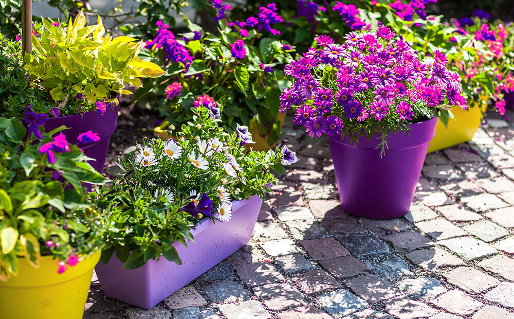 Inspirerende ideeën voor uw tuin met kleurrijke plantenpotten